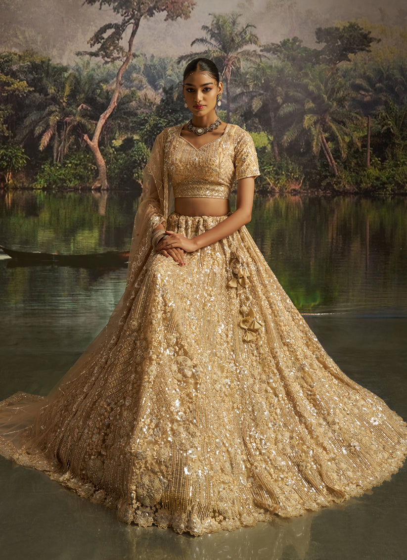 Beige Soft Embroidered Net Designer Wedding Lehenga Choli Set