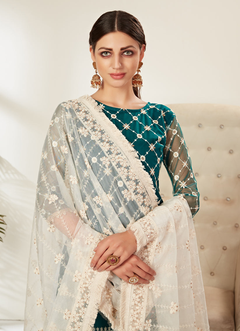 Morpich Net Embroidered Pant Kameez
