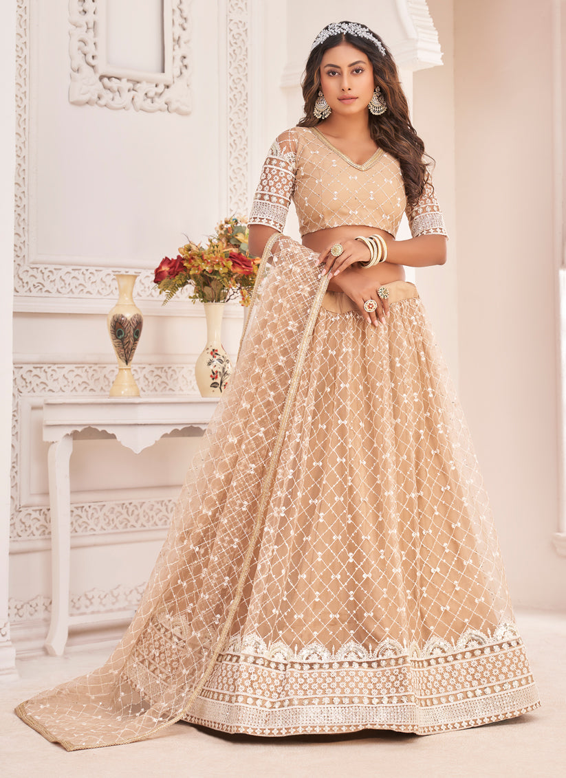 Beige Net Embroidered Lehenga Choli