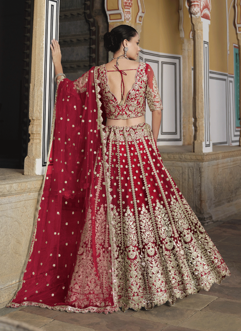 Cherry Red Net & Embroidered Lehenga Choli
