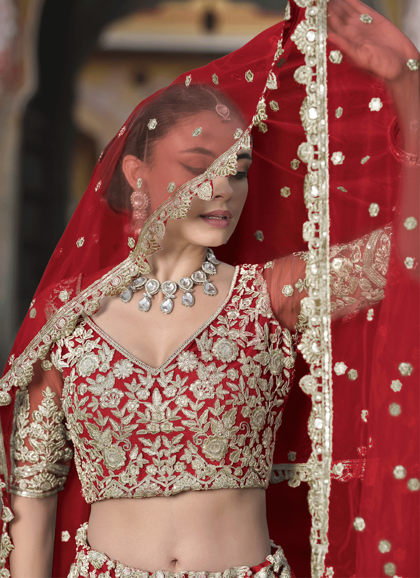 Cherry Red Net & Embroidered Lehenga Choli