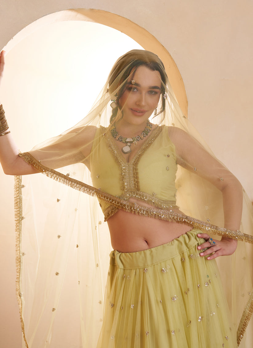 Elegant Yellow Net Designer Lehenga Choli with Bead Work