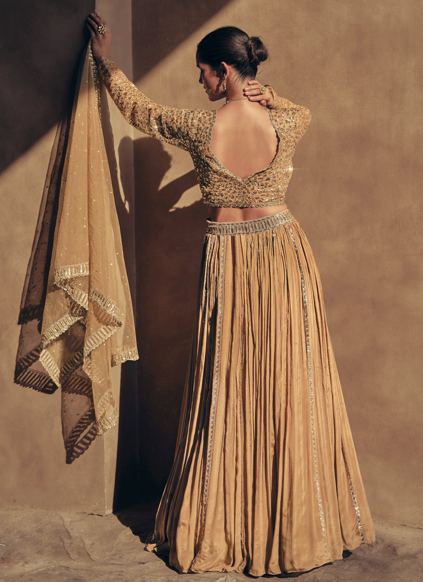 Fawn Chinnon Silk Designer Readymade Lehenga Choli