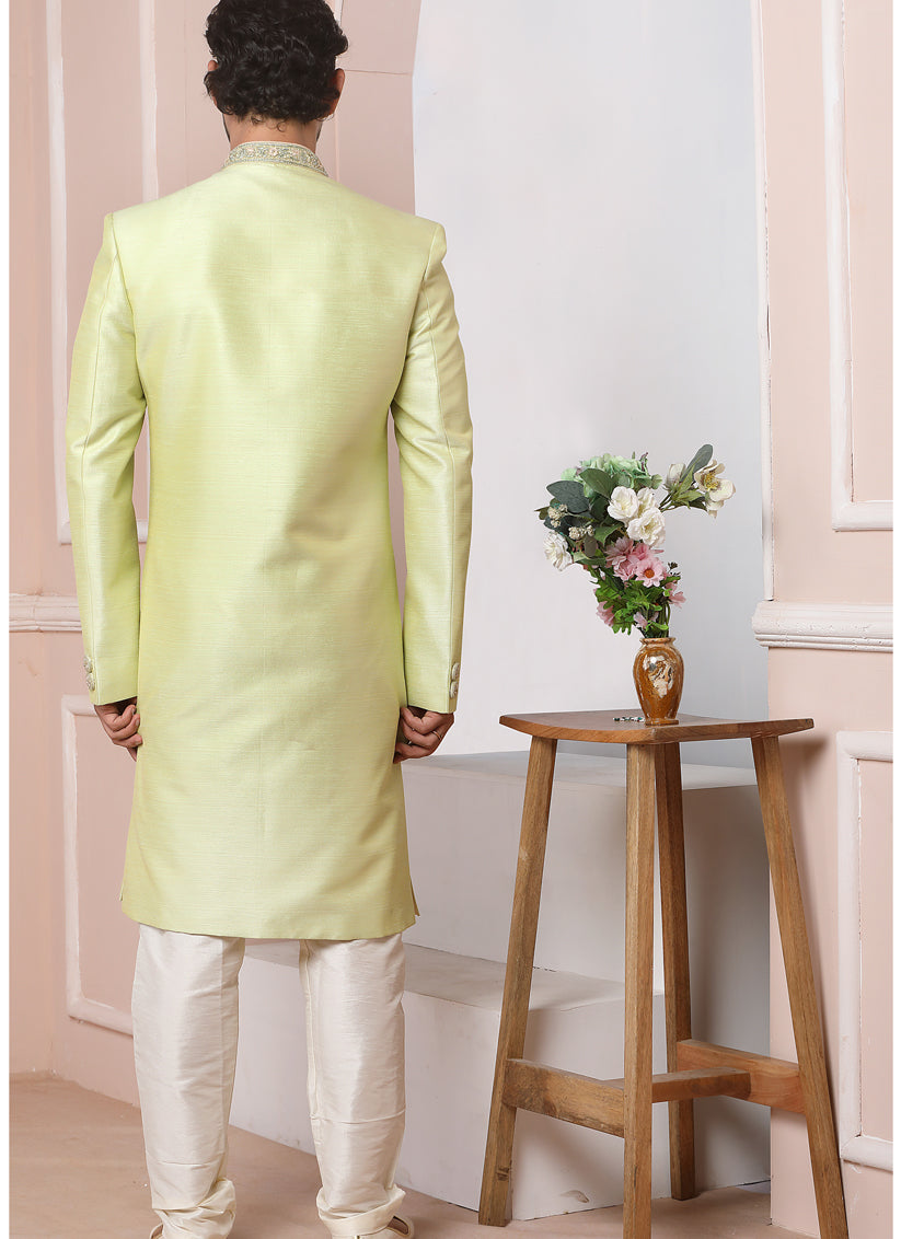 Pastel Green Banarasi Silk Embroidered Indo Western