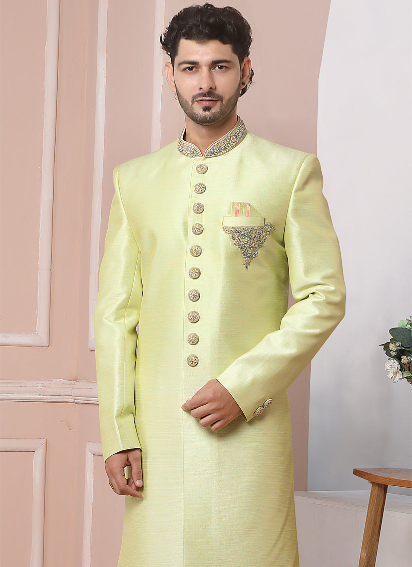 Pastel Green Banarasi Silk Embroidered Indo Western