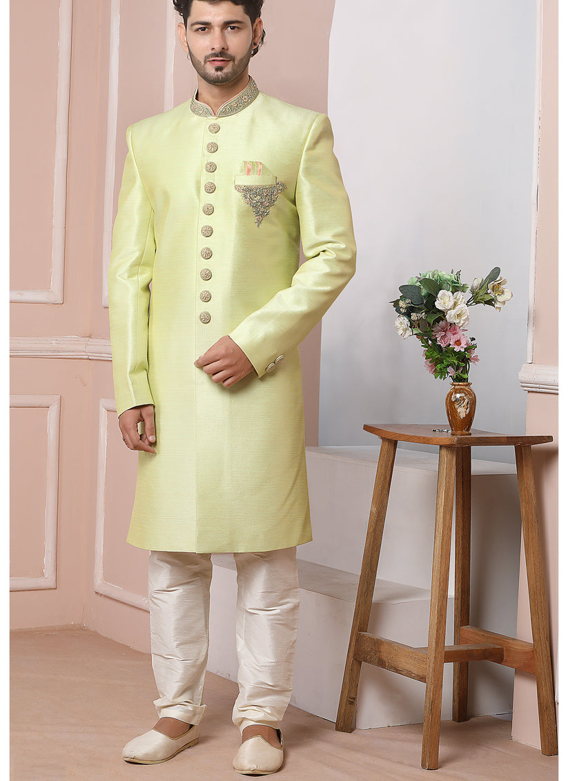 Pastel Green Banarasi Silk Embroidered Indo Western