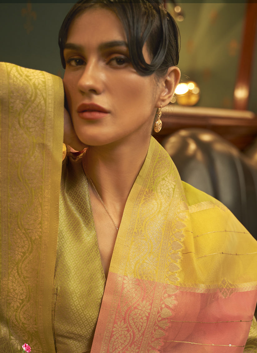 Multi Color Organza Sequined Saree