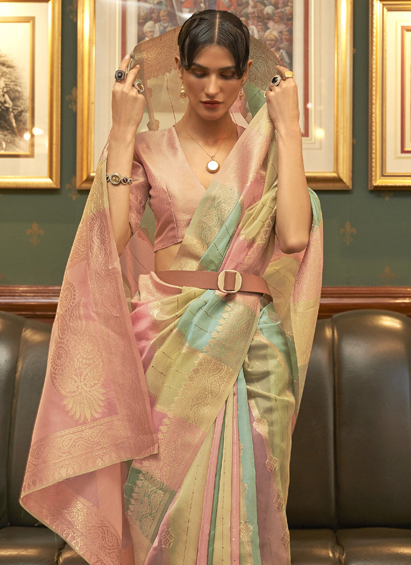 Multi Color Organza Sequined Saree