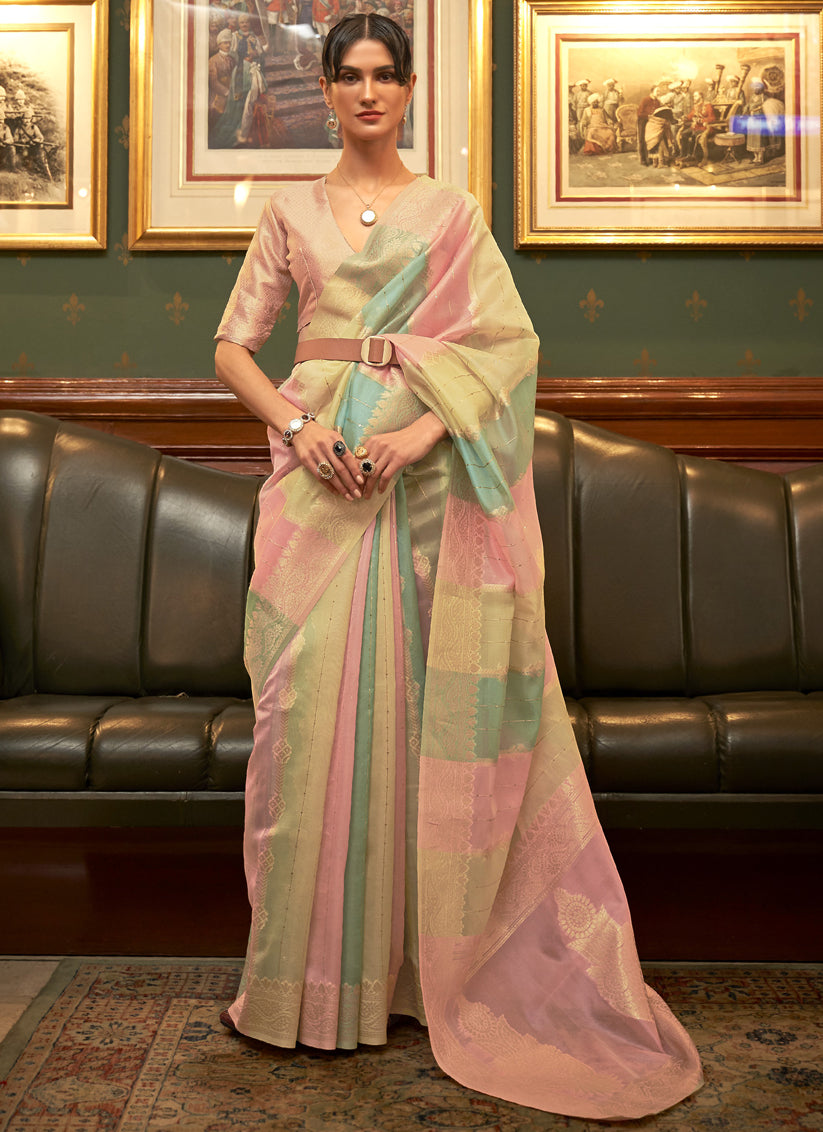 Multi Color Organza Sequined Saree
