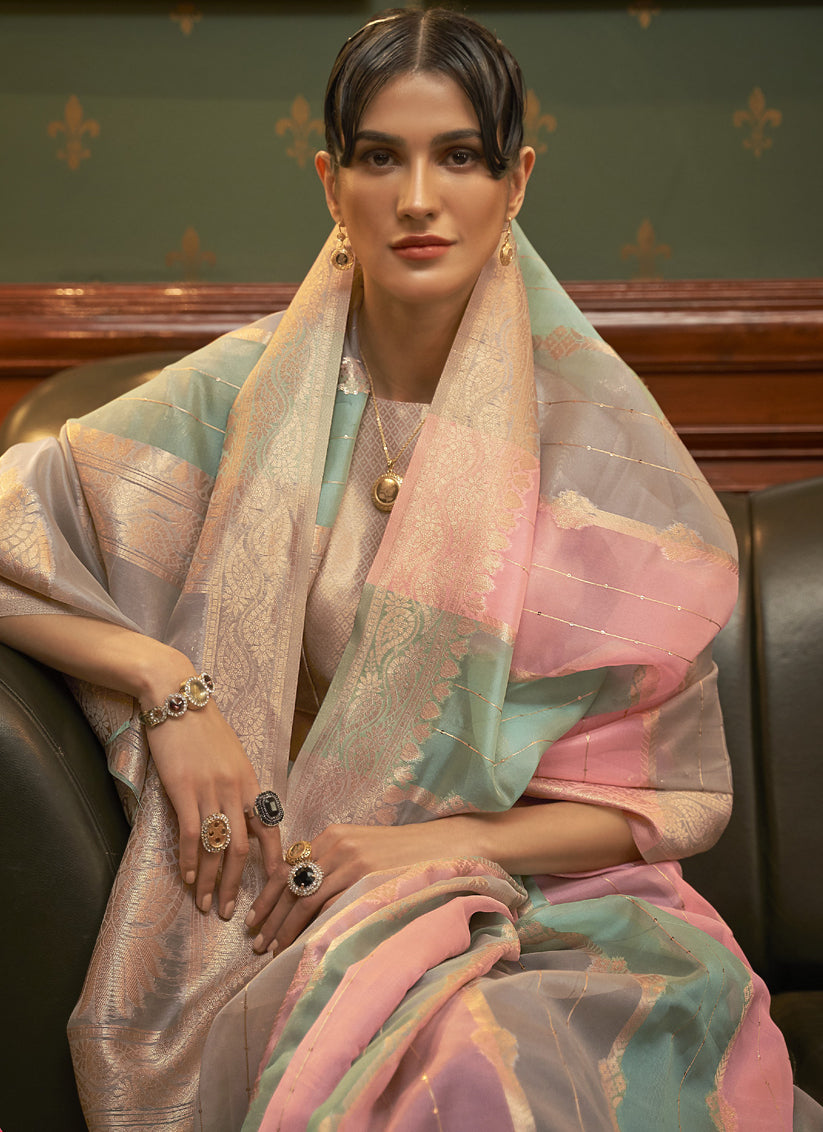 Multi Color Organza Sequined Saree