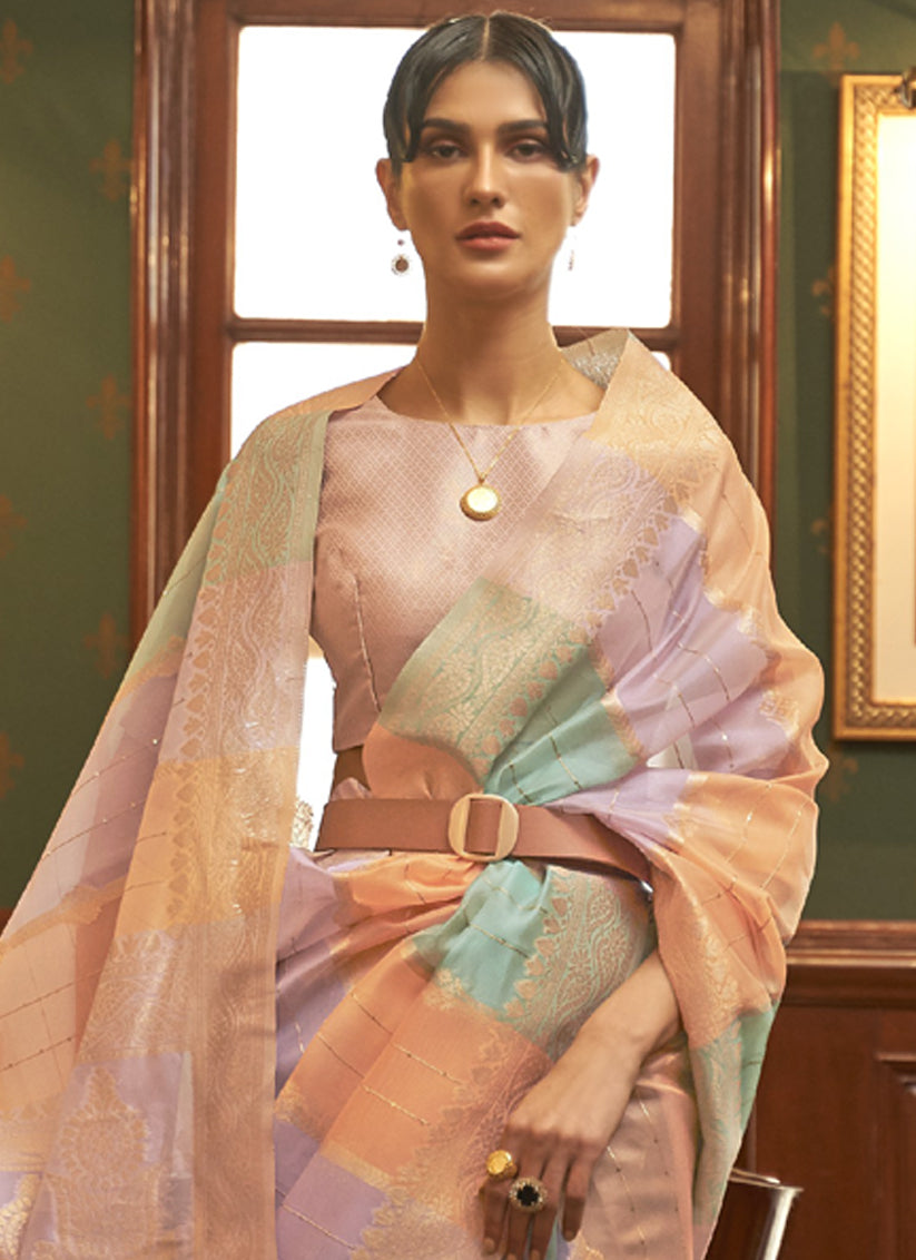 Multi Color Organza Sequined Saree