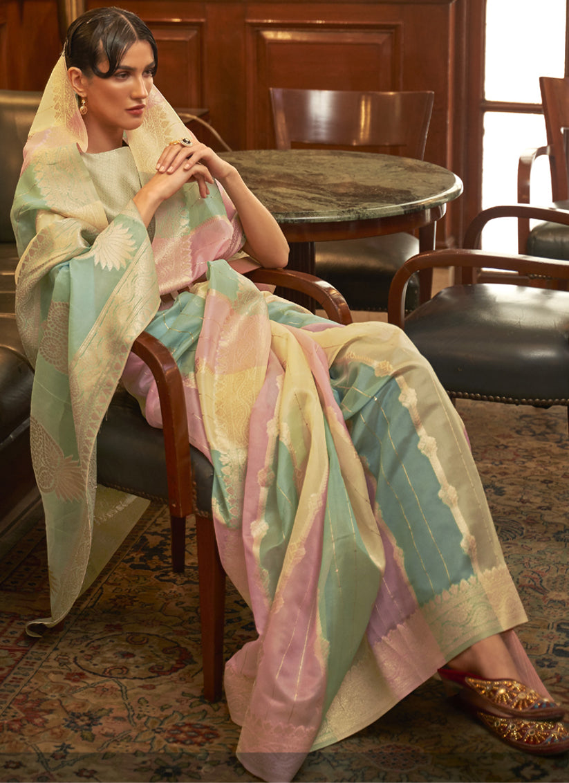Multi Color Organza Sequined Saree