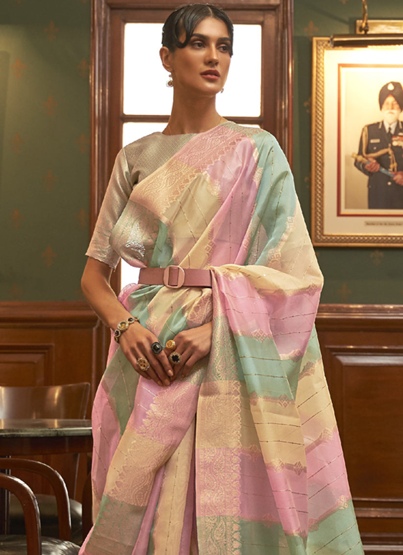 Multi Color Organza Sequined Saree