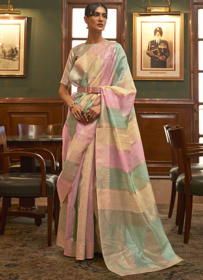 Multi Color Organza Sequined Saree