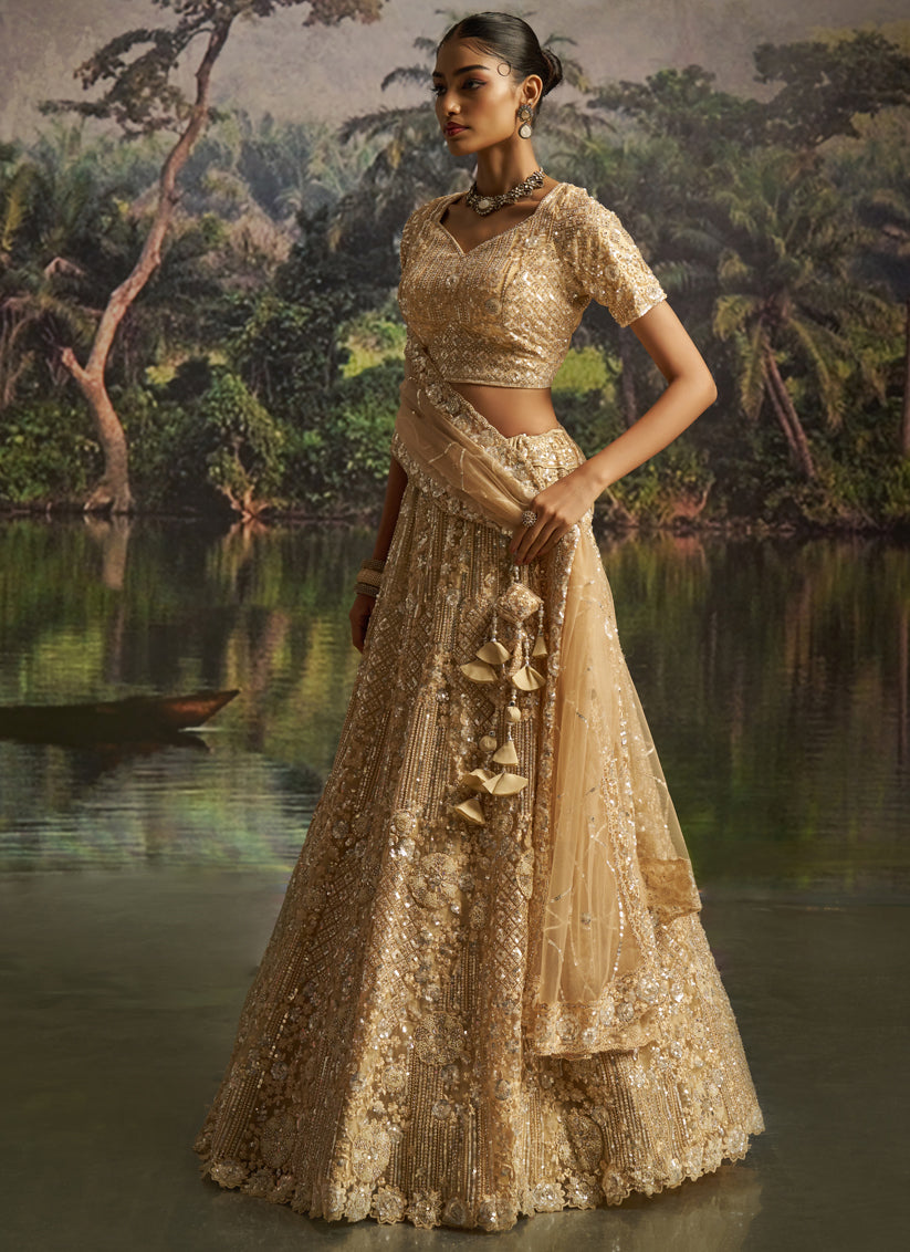 Beige Soft Embroidered Net Designer Wedding Lehenga Choli Set