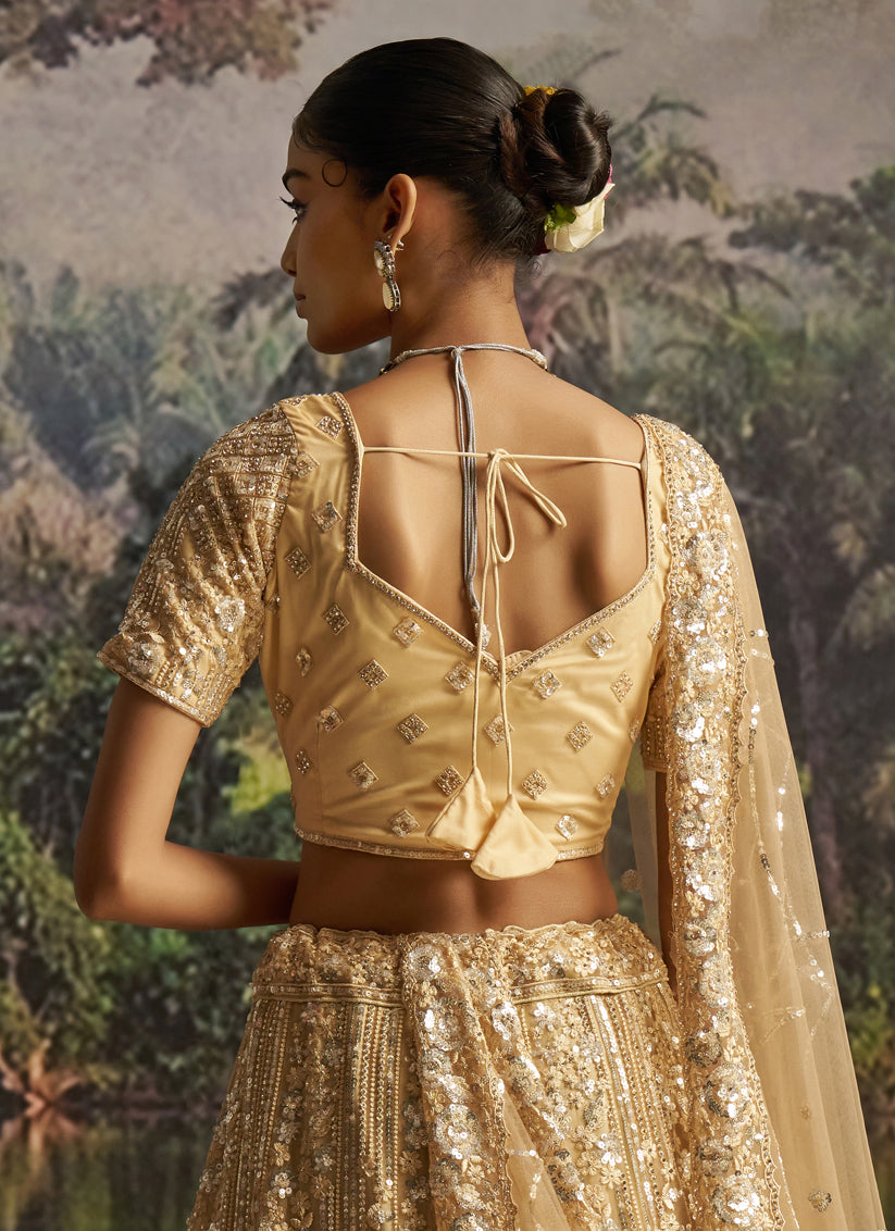 Beige Soft Embroidered Net Designer Wedding Lehenga Choli Set