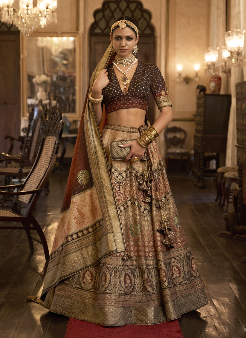 Multicolor Rajwadi Silk Embellished Lehenga Choli