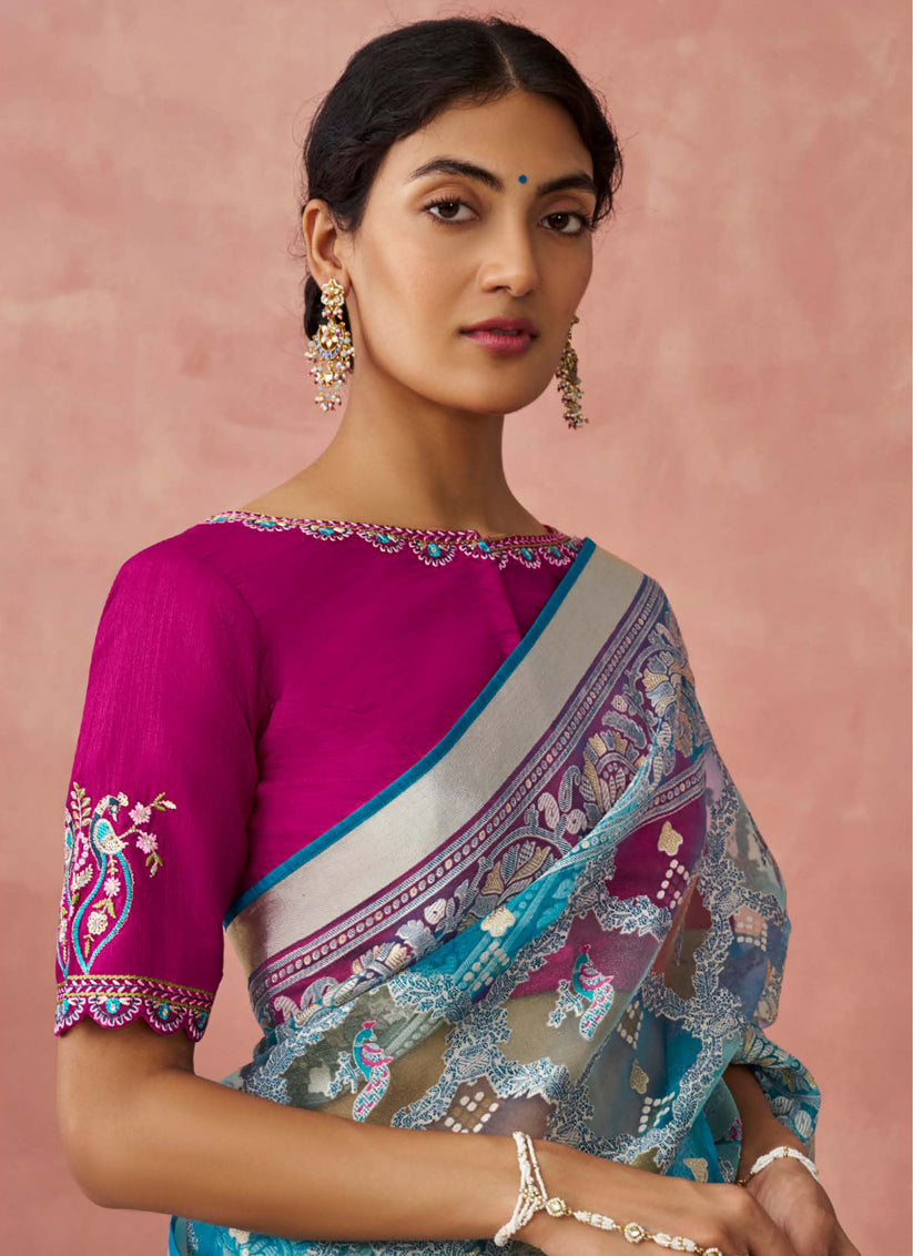 Multicolor Brasso Embroidered Saree