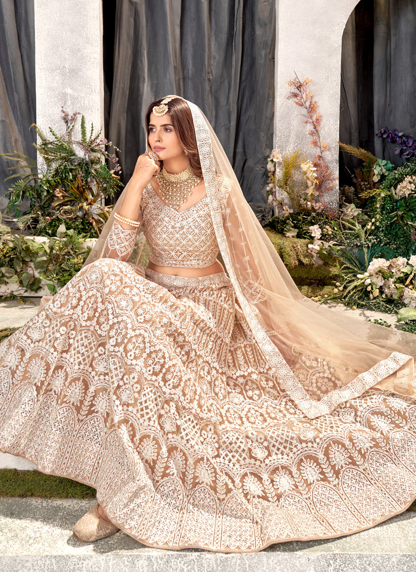 Beige Net Embroidered Lehenga Choli Set