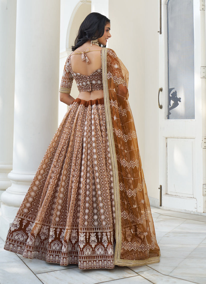 Snuff Brown Net Embroidered Lehenga Choli Set