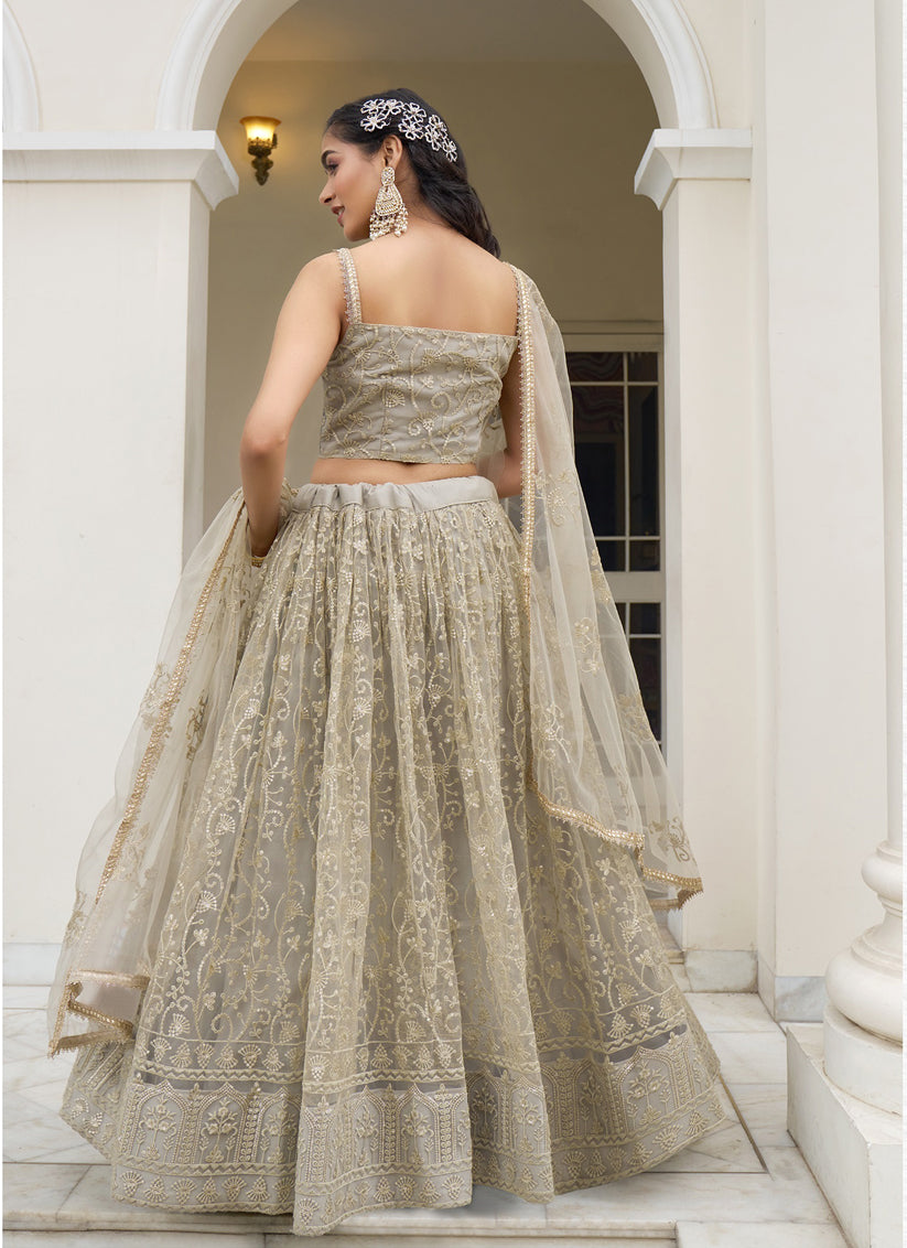 Dusty Cream Net Embroidered Lehenga Choli Set