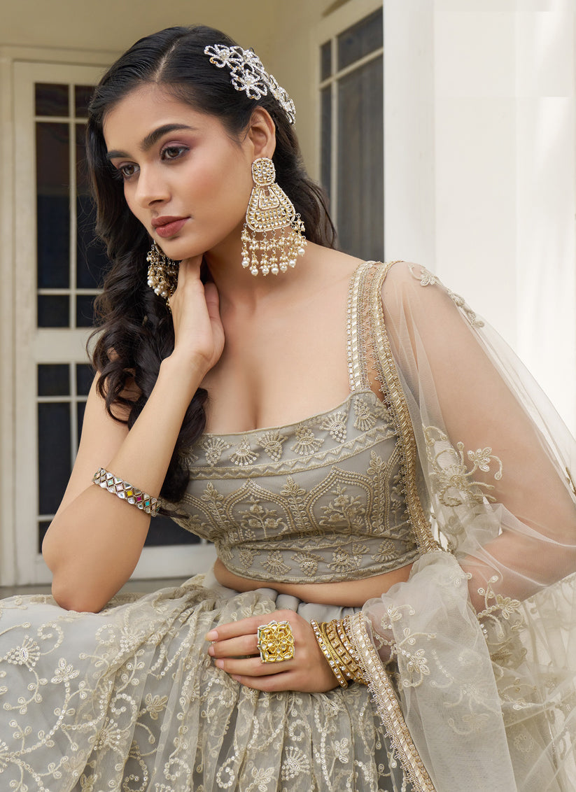 Dusty Cream Net Embroidered Lehenga Choli Set