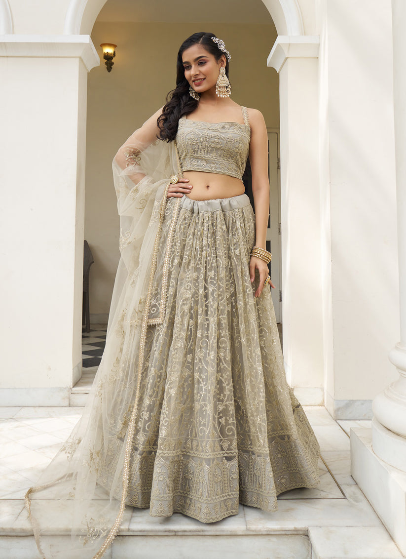 Dusty Cream Net Embroidered Lehenga Choli Set