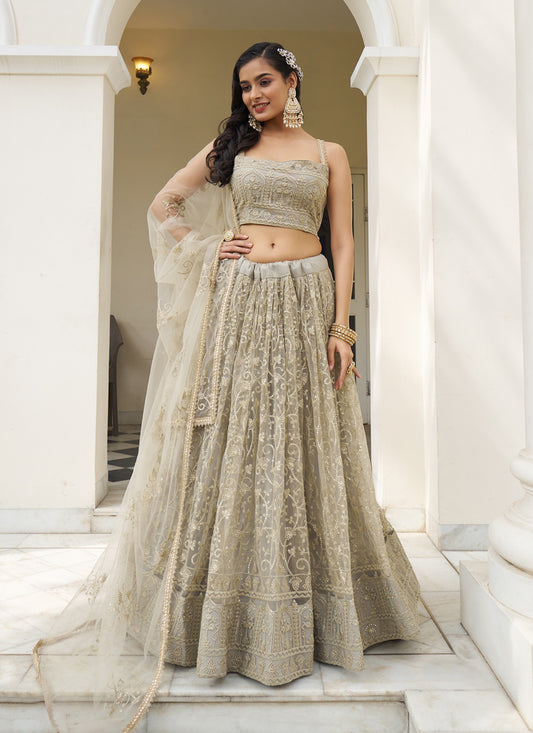 Dusty Cream Net Embroidered Lehenga Choli Set