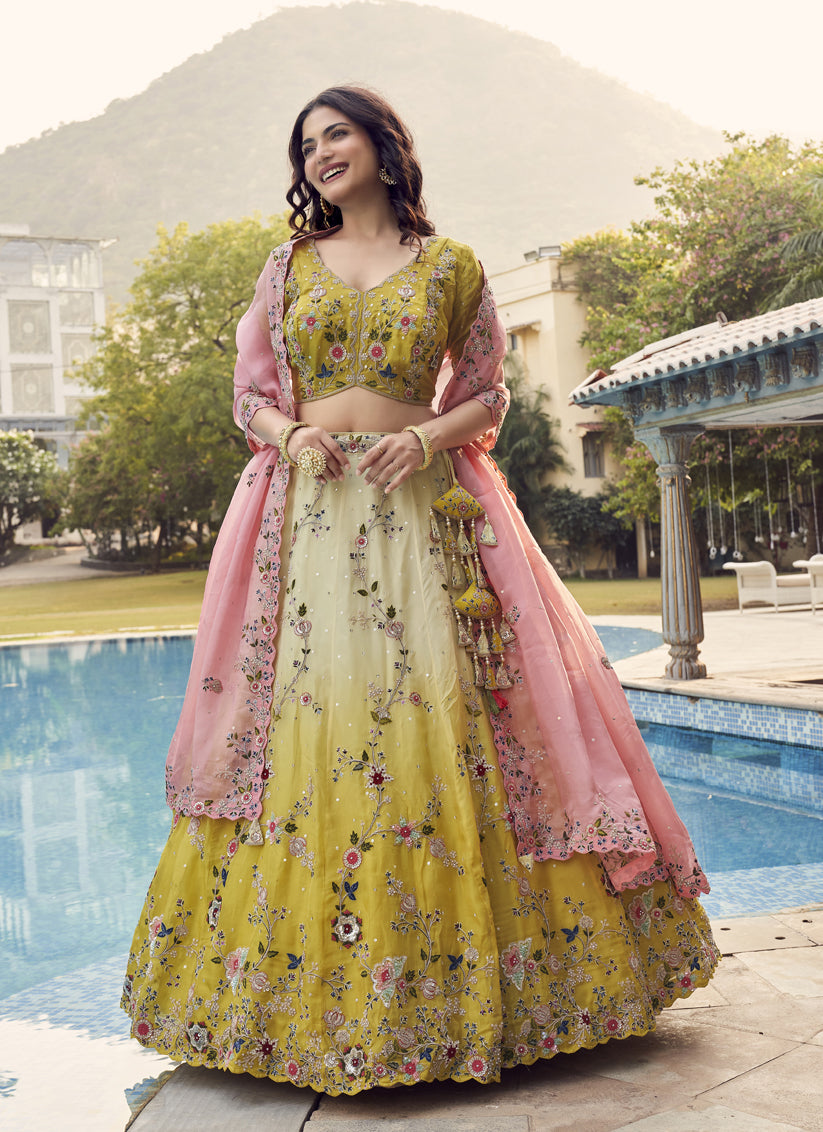 Lehenga Designer Lehenga Designer Lehenga Choli Lehenga Australia TDO Australia