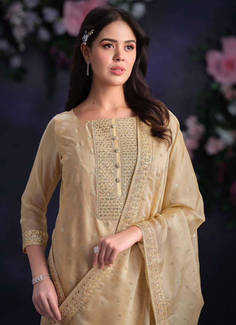 Beige Shimmer Organza Embroidered Pant Kameez