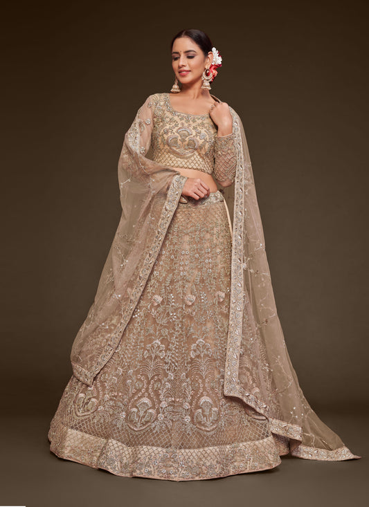 Beige Net Embroidered Designer Lehenga Choli