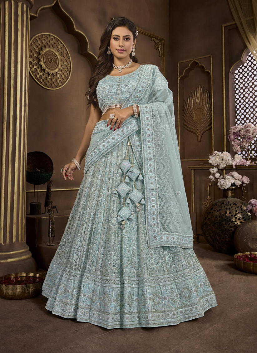 Sky Blue Net Embroidered Designer Lehenga Choli Set