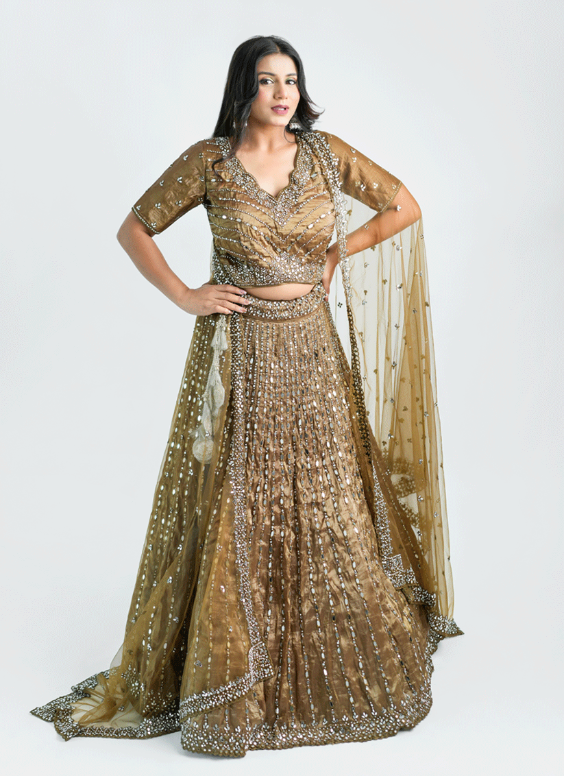 Chiku Tissue Heavy Embellished  Designer Lehenga Choli