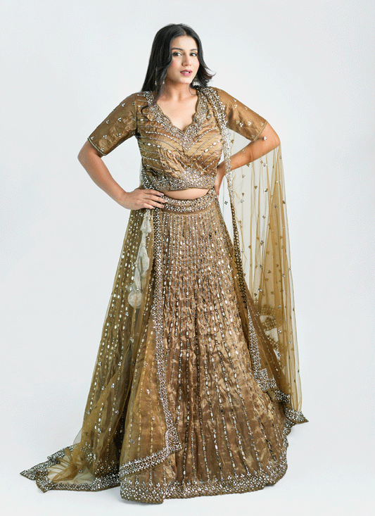 Chiku Tissue Heavy Embellished  Designer Lehenga Choli