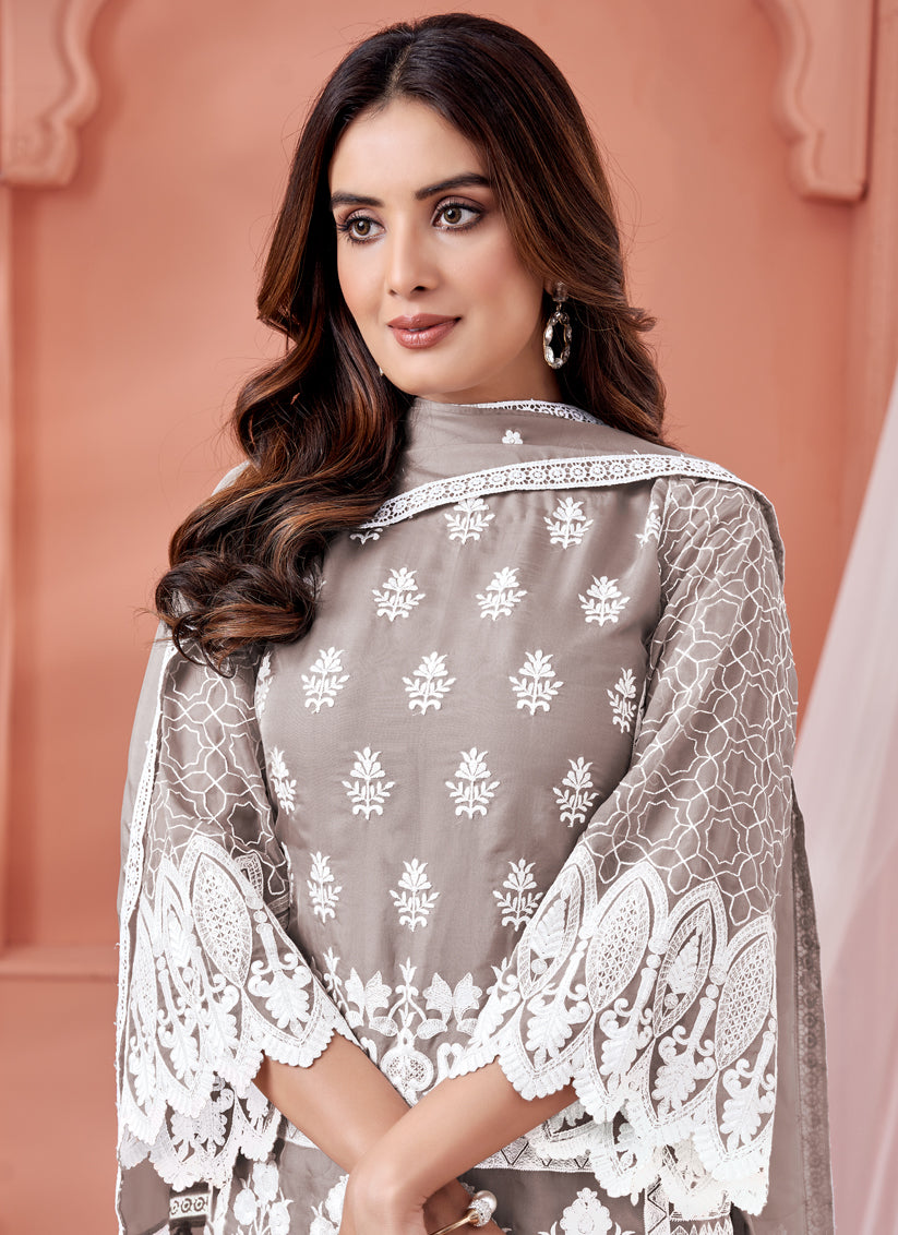 Taupe Grey Organza Embroidered Pant Kameez