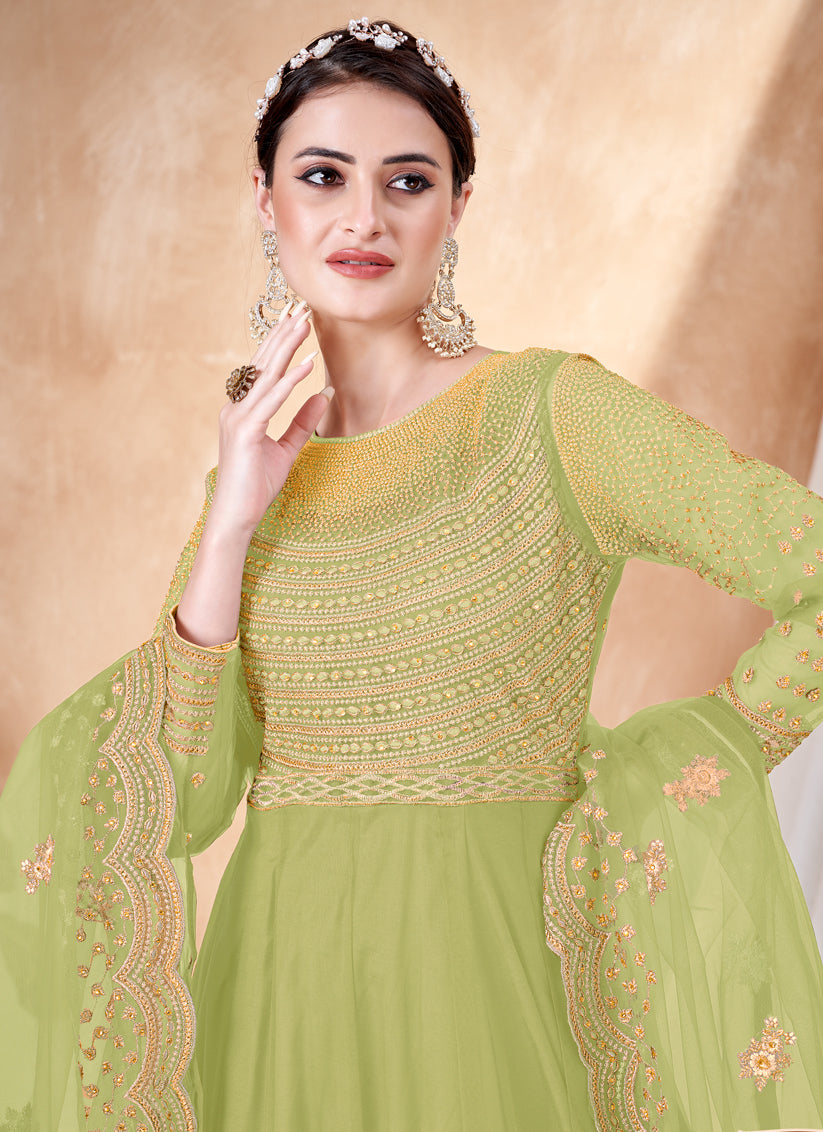 Pear Green Net Embroidered Anarkali Dress
