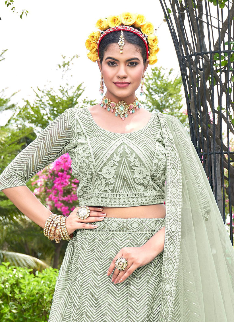 Pastel Green Net Designer Lehenga Choli Set