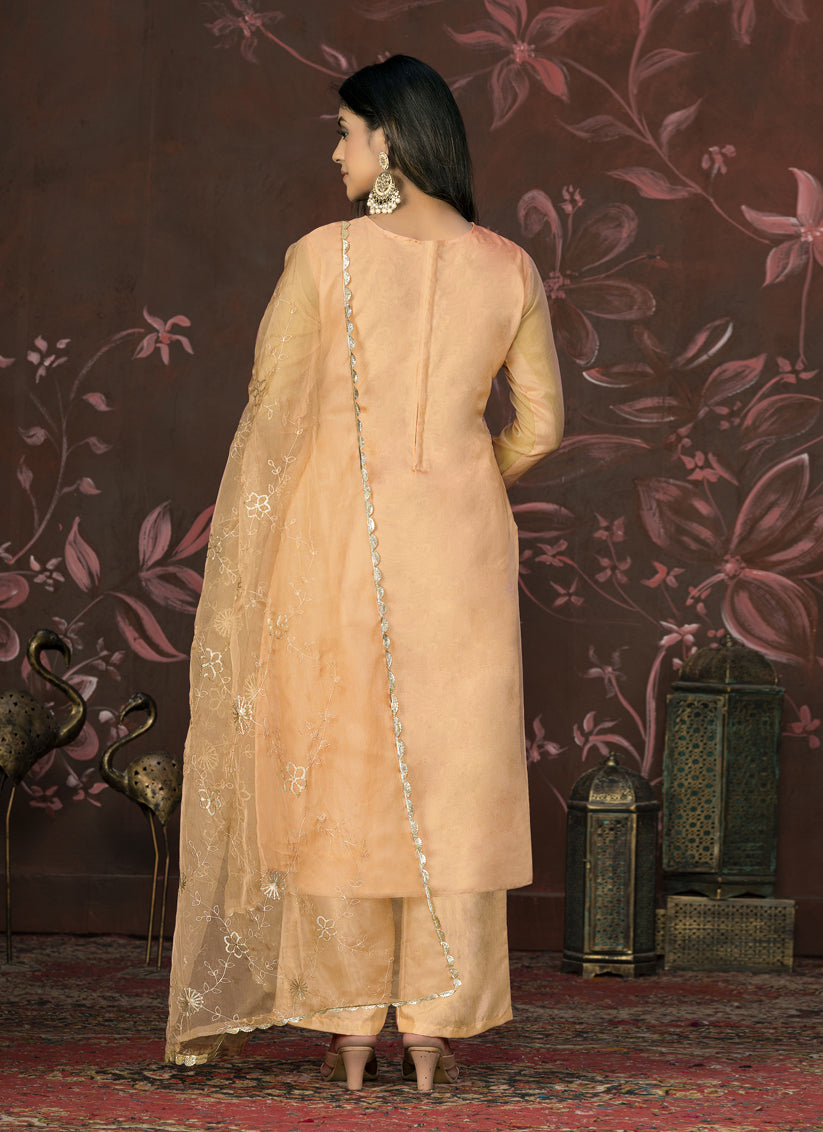 Beige Organza Sequence Pakistani Suit