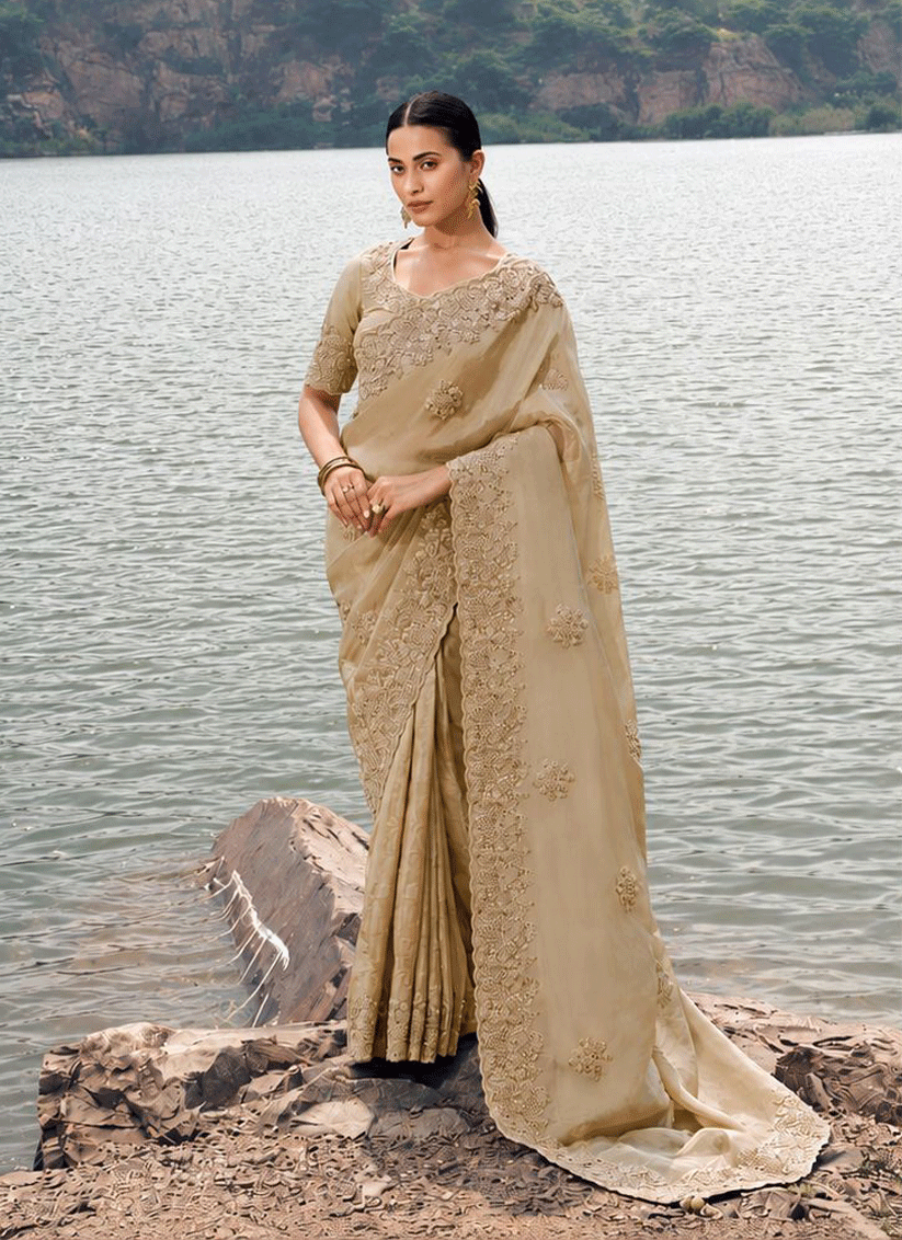 Beige Designer Silk Saree with Elegant Embroidery & Heavy Border Blouse Set